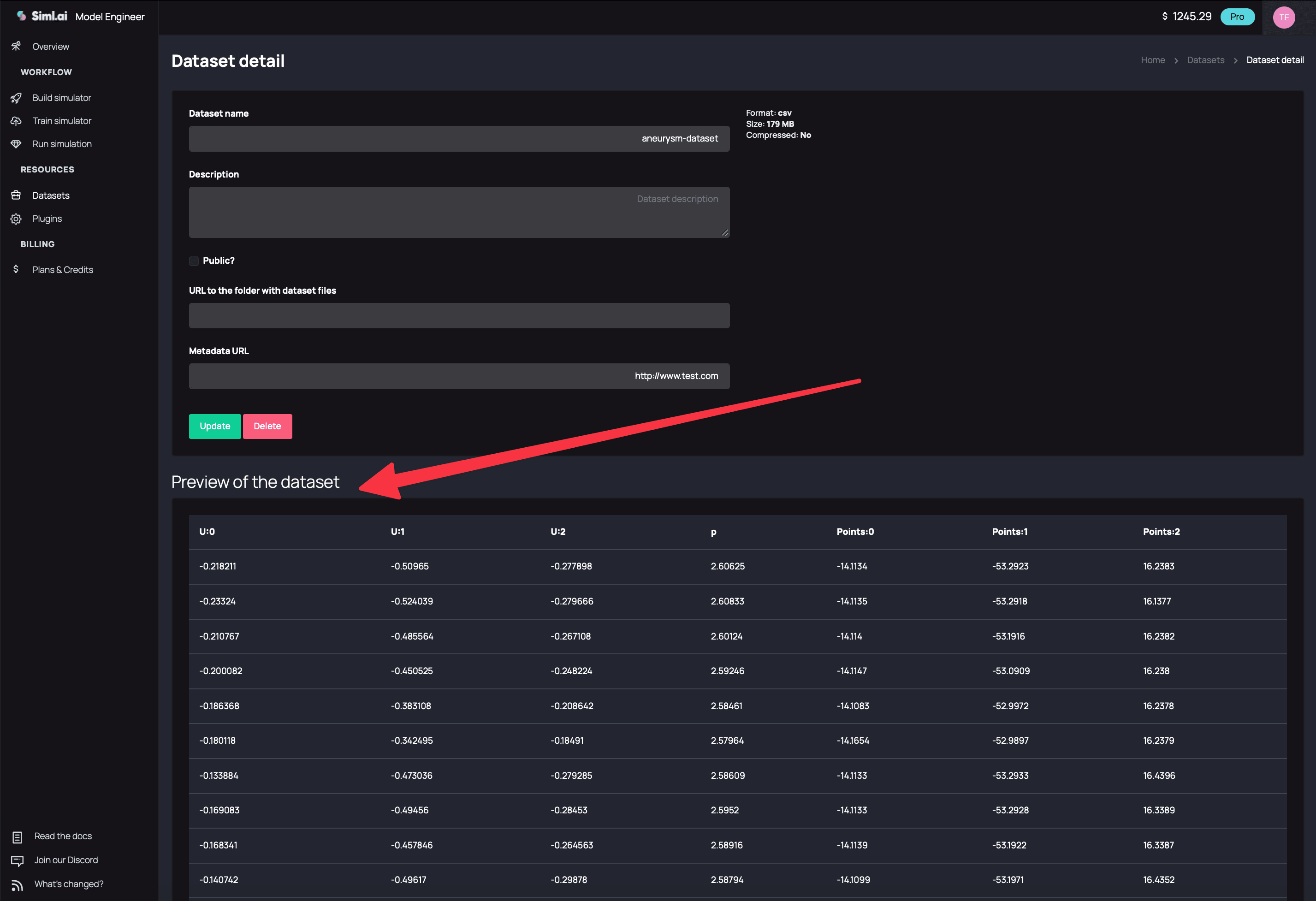 Dataset detail preview